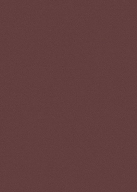 萨维奥拉AD7 Eccimeri Red饰面板