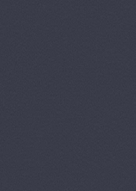 萨维奥拉AD8 Eccimeri Blue饰面板