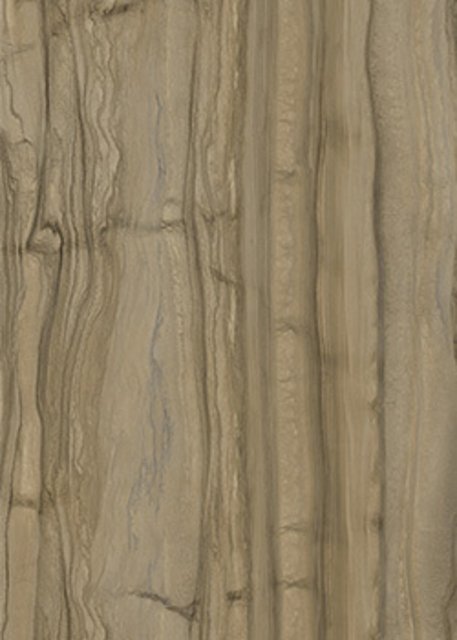 萨维奥拉DZ3 Fossil Wood饰面板