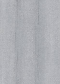 萨维奥拉AA2 Galvano Argento饰面