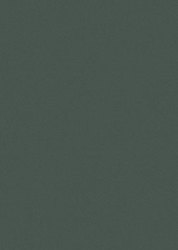 萨维奥拉AD6 Eccimeri Green饰面
