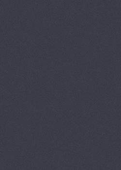 萨维奥拉AD8 Eccimeri Blue饰面