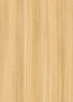 萨维奥拉DD1 Eucalipto Nitens Chiaro饰面