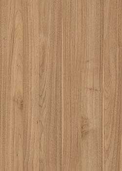 萨维奥拉DR6 Noce Biondo Ambassador饰面