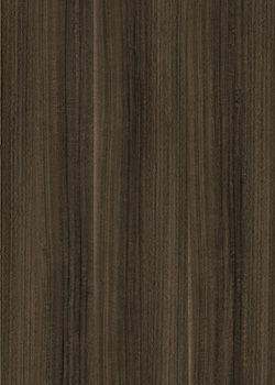 萨维奥拉DU8 Eucalipto Nitens Bronze饰面