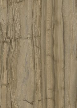 萨维奥拉DZ3 Fossil Wood饰面