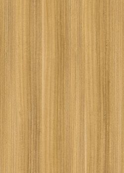 萨维奥拉DZ9 Eucalipto Nitens Medio饰面