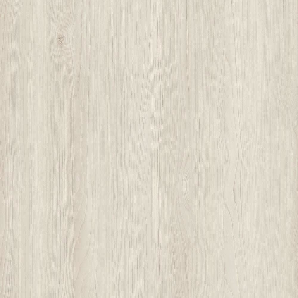 夏特14-01056 Atlas Cedar