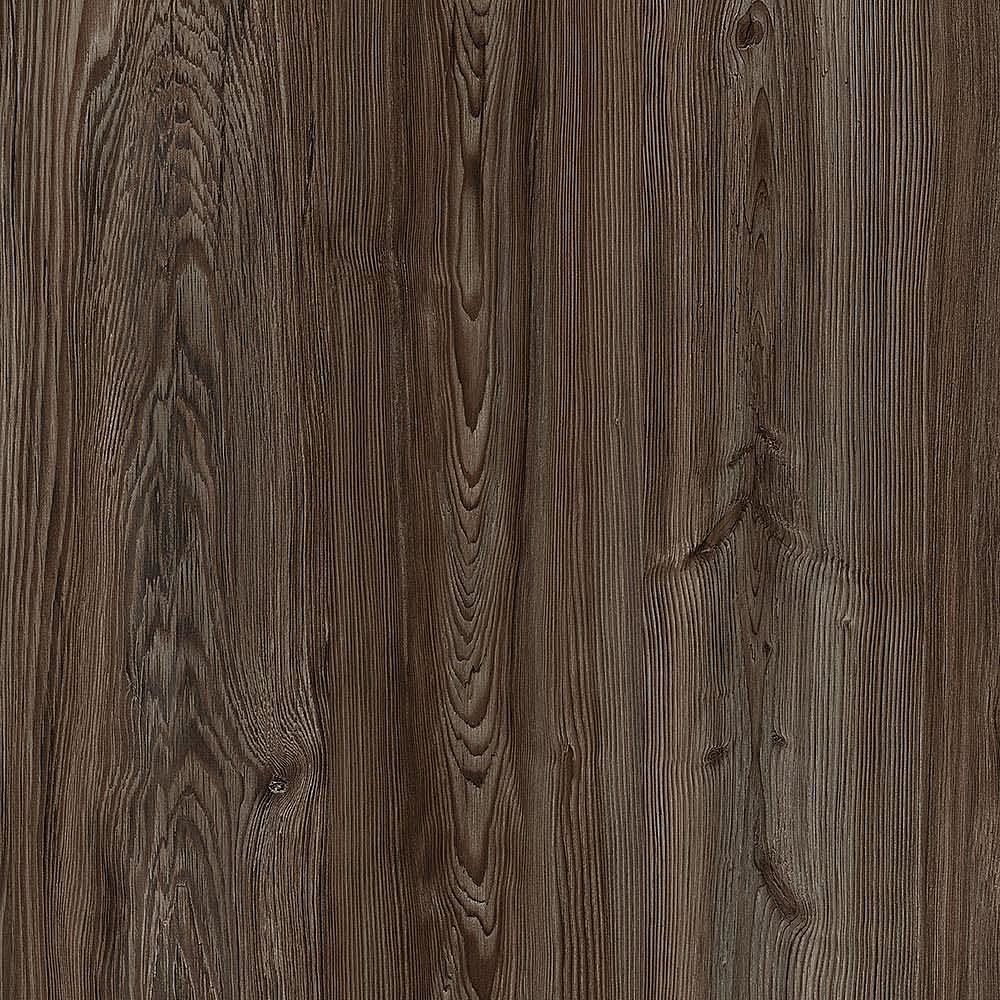 夏特14-01070 Canyon Atlantic Pine