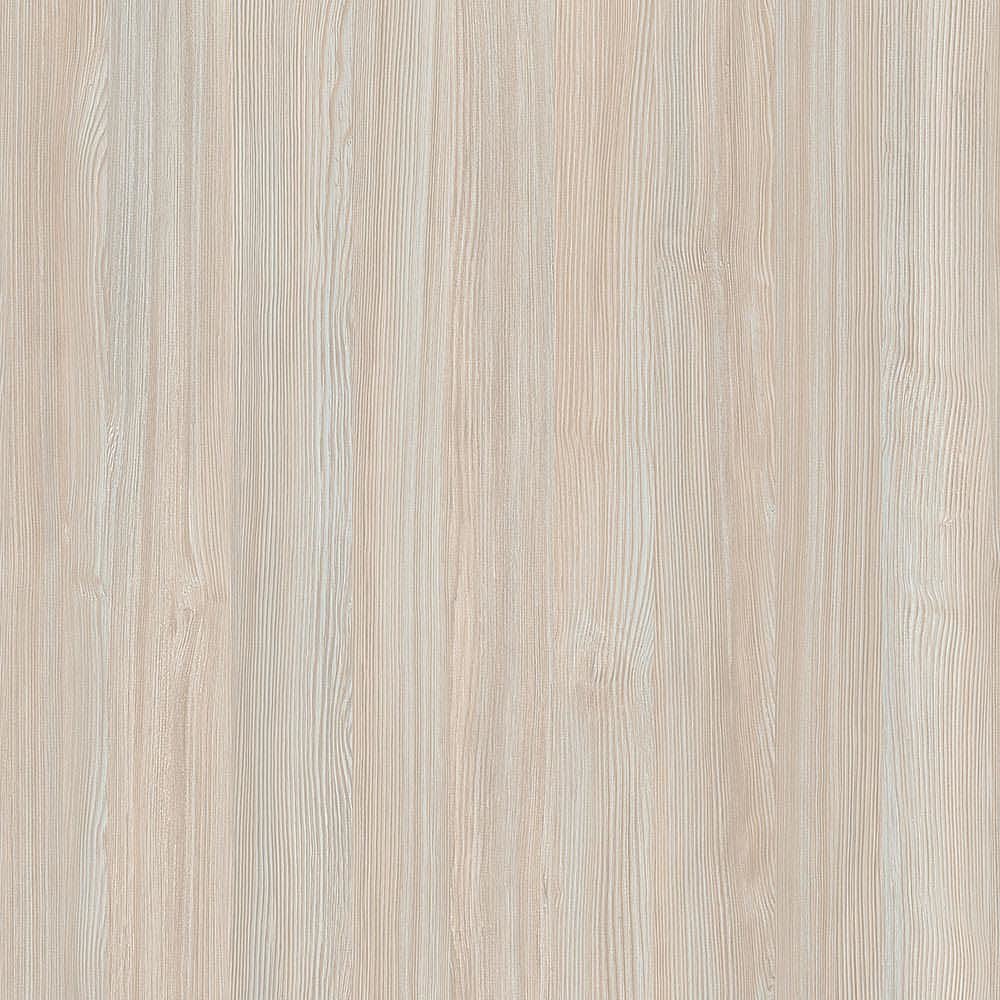 夏特14-01081 Atlantic Pine