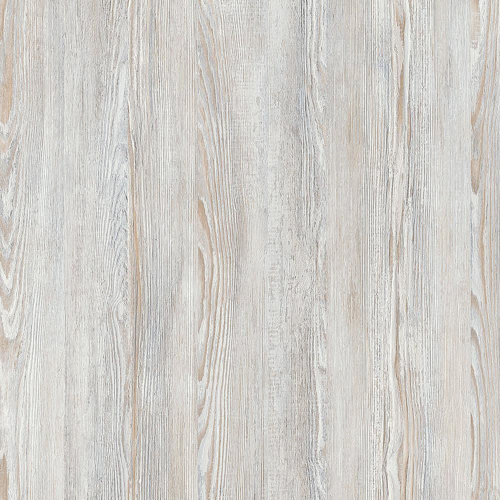 夏特14-01088 Astana Pine