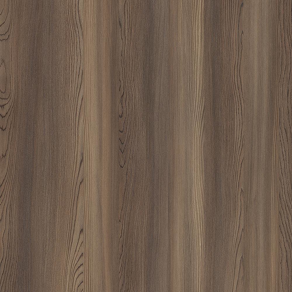 夏特14-01112 Stone Pine