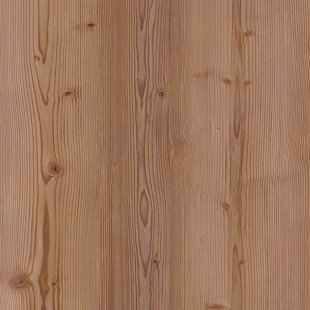 夏特14-02025 Canyon Jura Pine