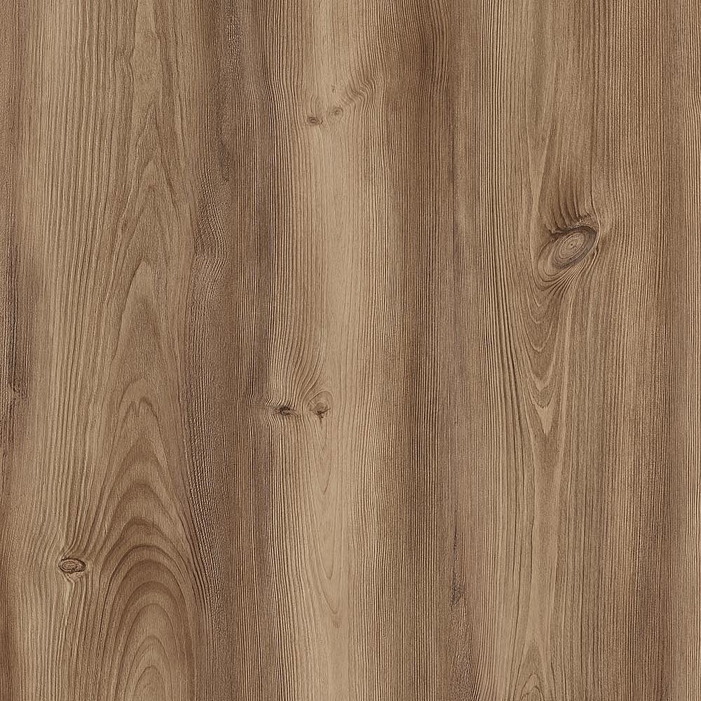 夏特14-02034 Canyon Summerville Pine
