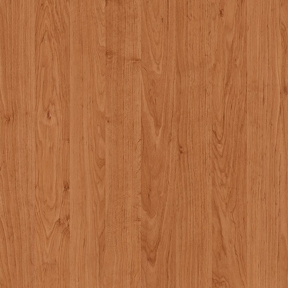 夏特14-05003 Red Alder