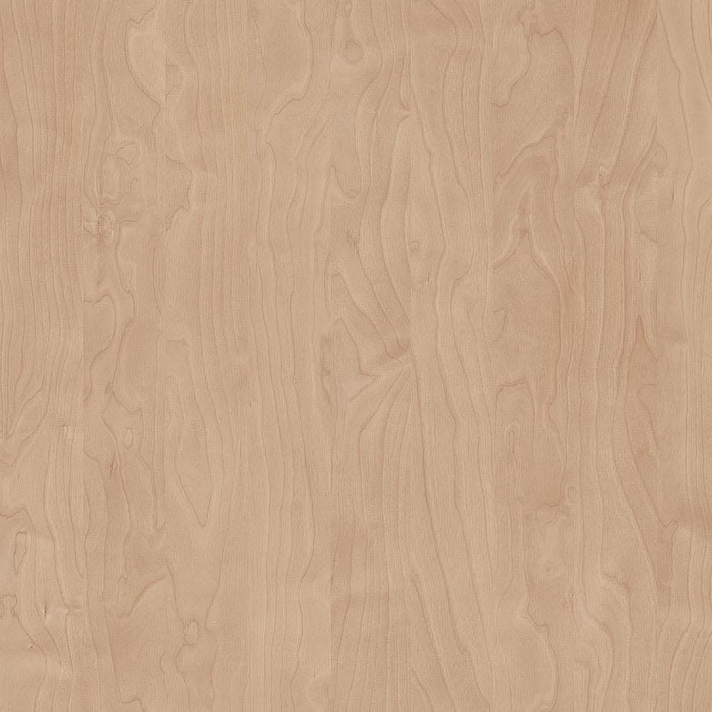 夏特14-05016 Polar Birch