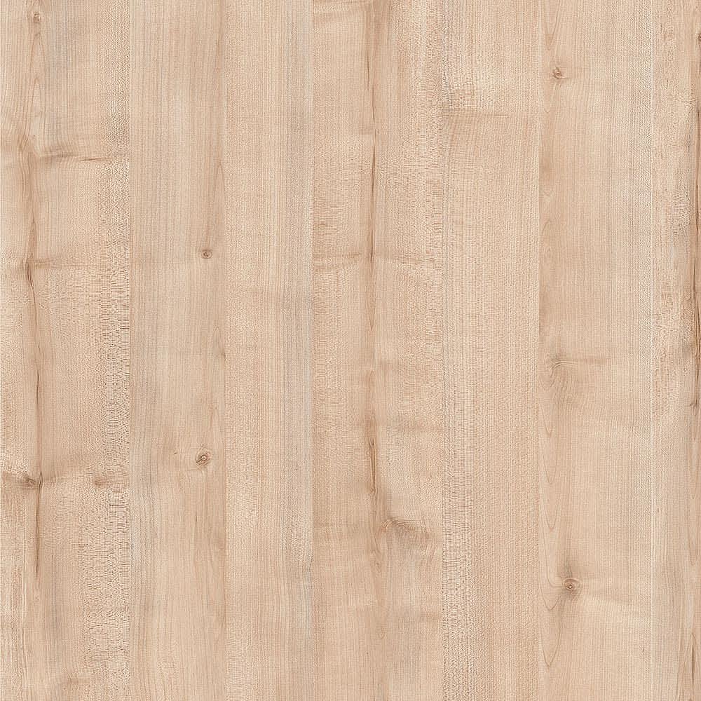 夏特14-05033 Jenissei Birch