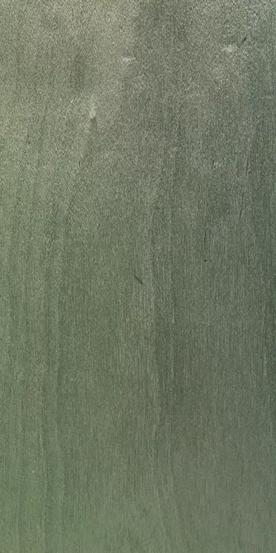 Tabu27.047 Birch tree饰面