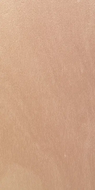 Tabu27.049 Birch tree饰面