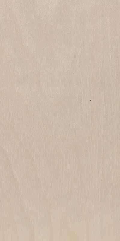 Tabu27.051 Birch tree饰面