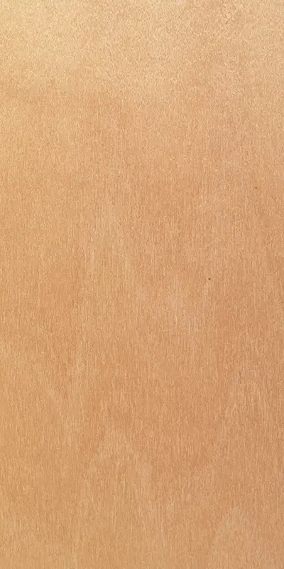 Tabu27.060 Birch tree饰面