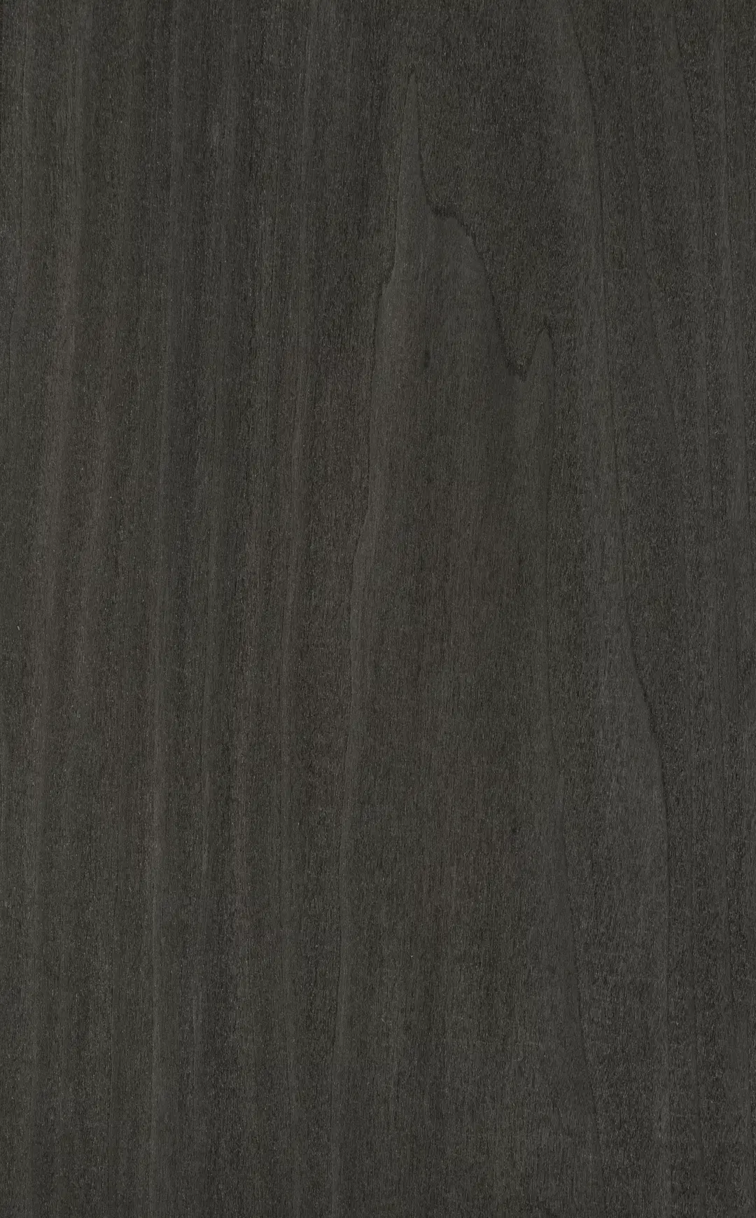 Tabu52.005 Bolivar black饰面