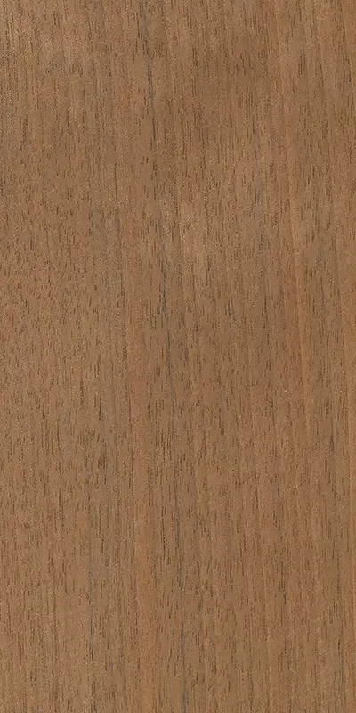 Tabu51.026 Canaletto Walnut饰面