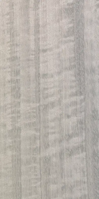TabuE5.S.005 Eucalyptus Frisé饰面