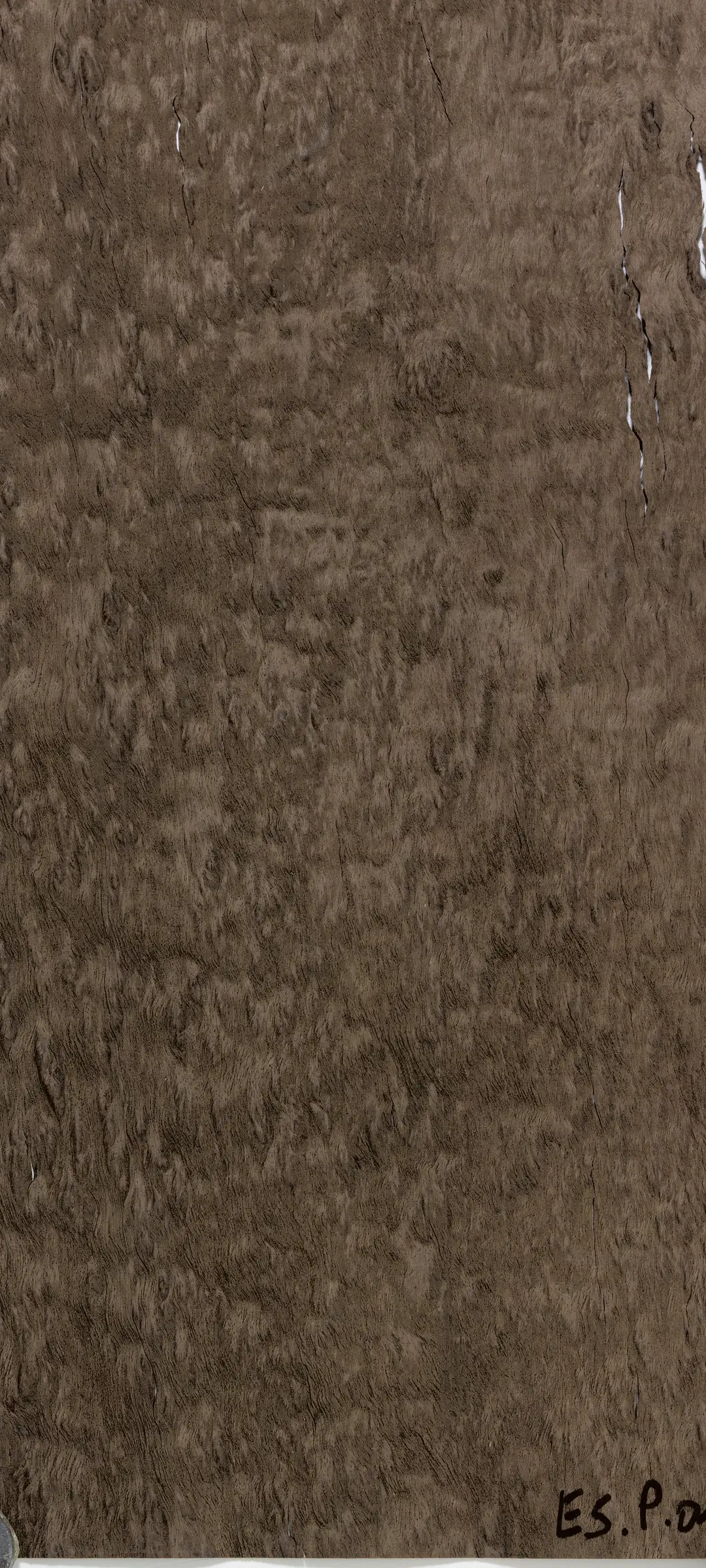 TabuE5.P.010 Eucalyptus Pomelé饰面