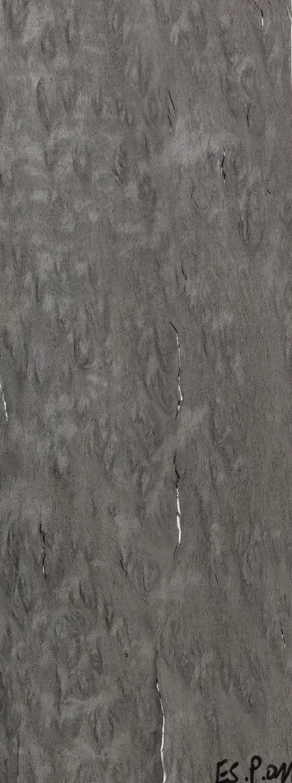 TabuE5.P.011 Eucalyptus Pomelé饰面