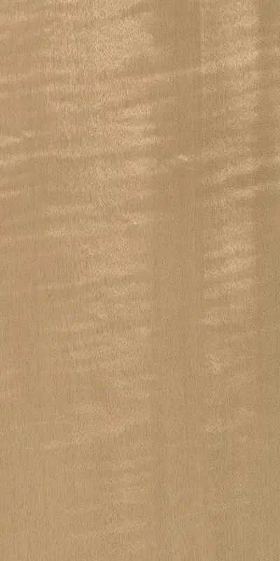 Tabu01.S.062 Figured Anegrè饰面