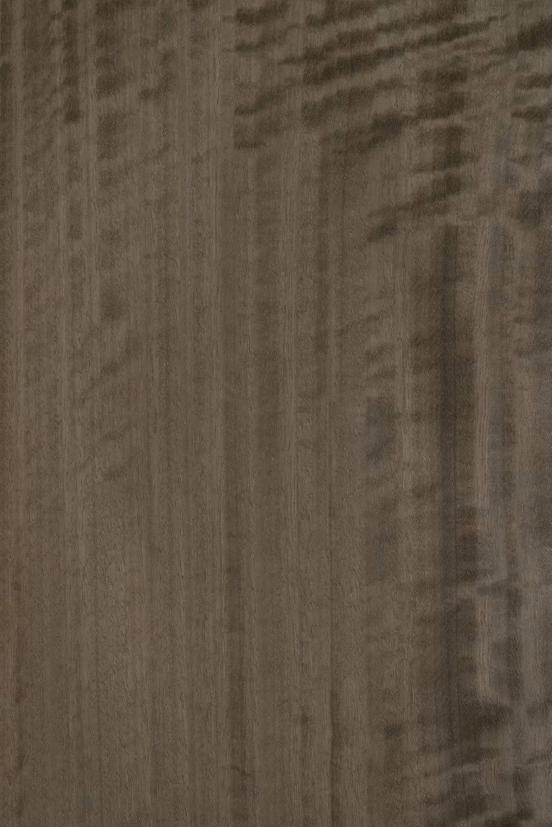 TabuE5.S.016 Figured Eucalyptus饰面