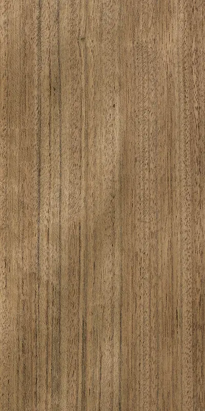 Tabu18.002 Kalu饰面