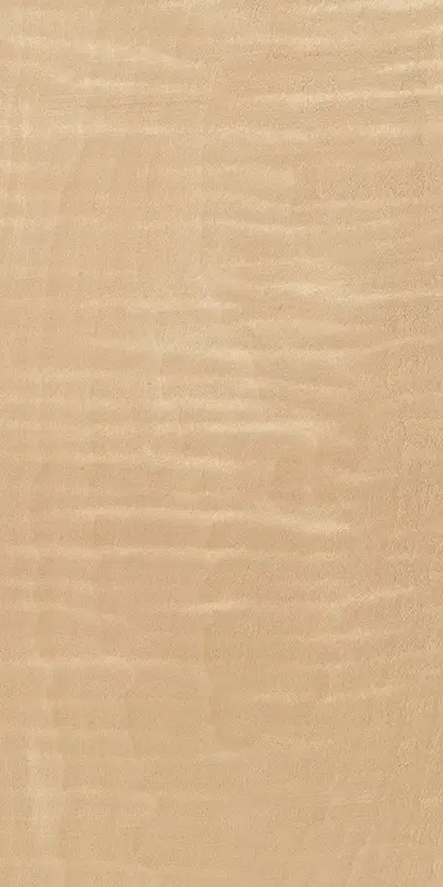 Tabu09.S.003 Maple Frisé饰面