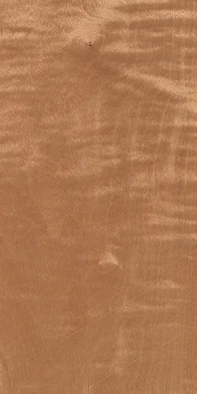 Tabu09.S.004 Maple Frisé饰面