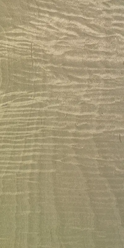 Tabu09.S.007 Maple Frisé饰面