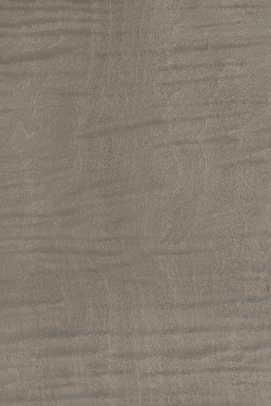 Tabu09.S.015 Maple Frisé饰面
