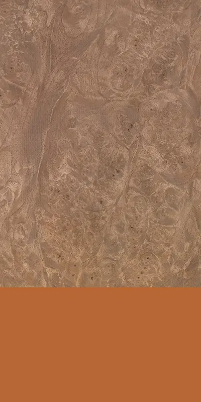 Tabu99.042 Persian Walnut Burl饰面