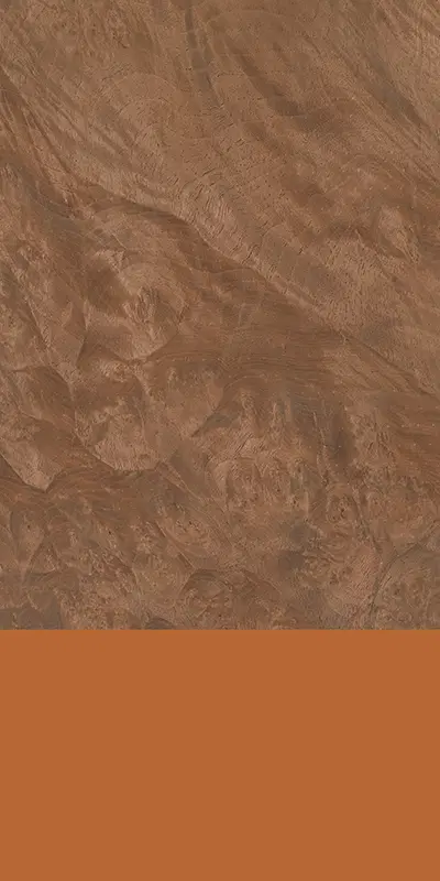 Tabu99.044 Persian Walnut Burl饰面
